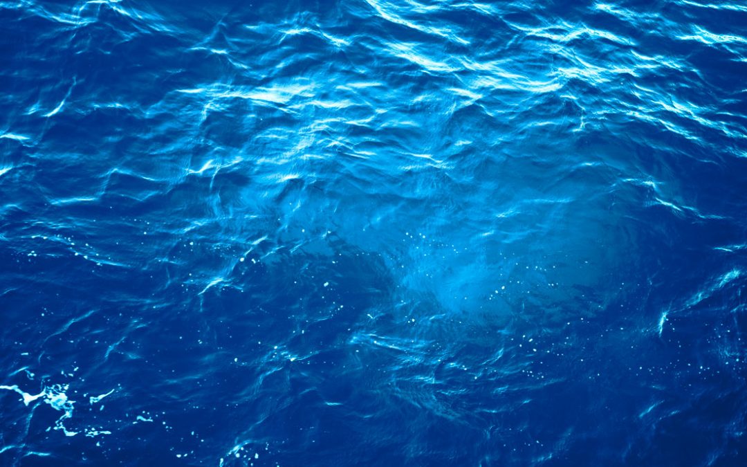 Understand Seo Before You Regret.