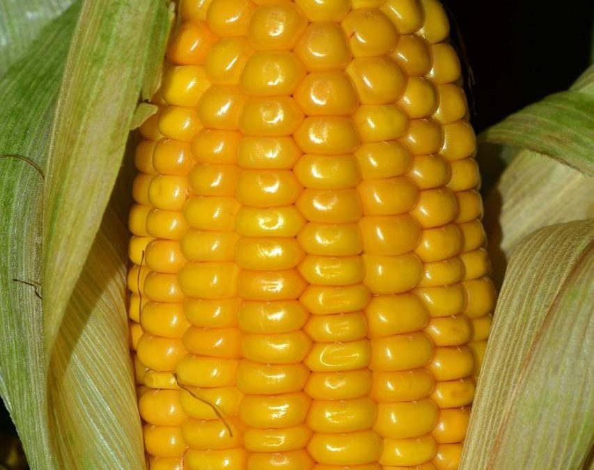 Cron