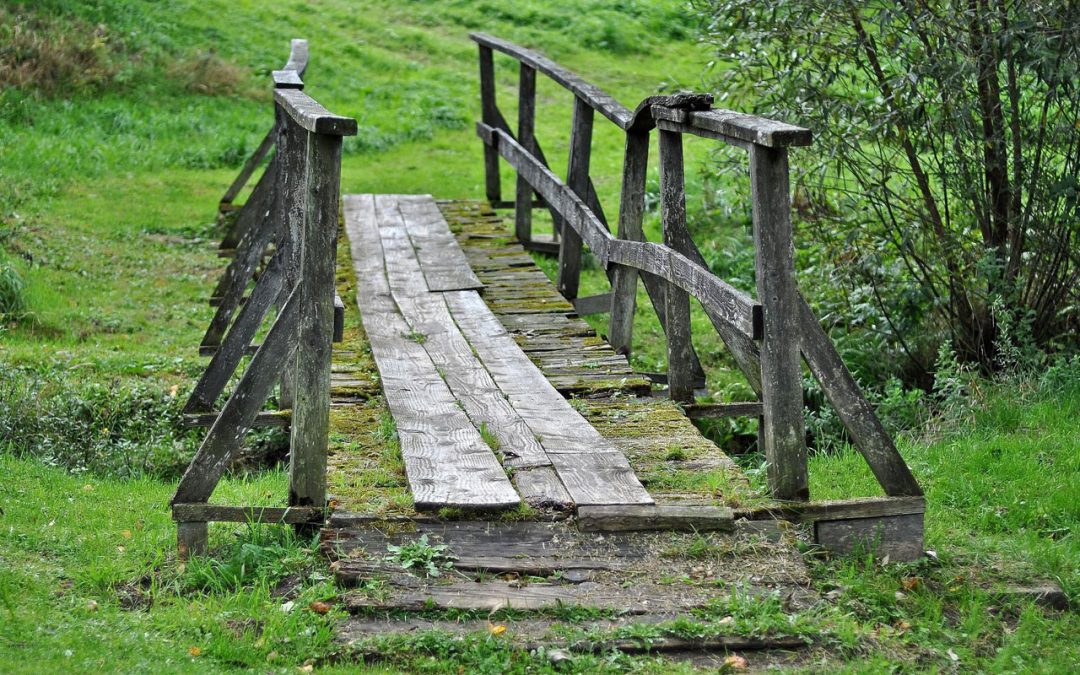 Wooden bridge inside the forest